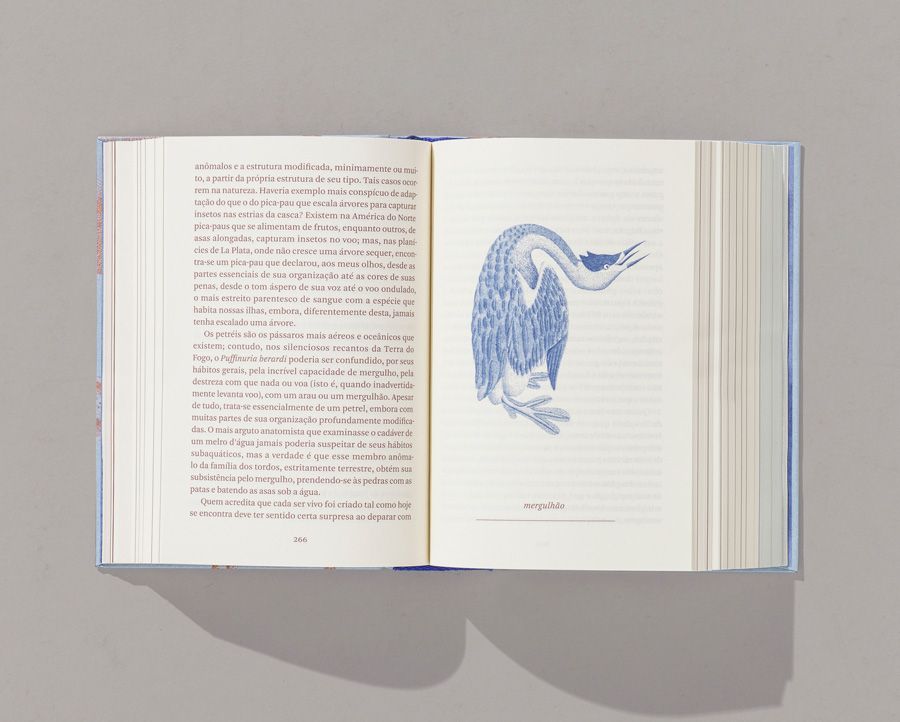 A Origem das Espécies - Charles Darwin DARWIN, Charles, 'A Origem das Espécies', Ubu Editora, 2018. Tradução: Pedro Paulo Pimenta. Ilustrado por Alex Cerveny.