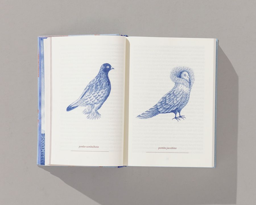 A Origem das Espécies - Charles Darwin DARWIN, Charles, 'A Origem das Espécies', Ubu Editora, 2018. Tradução: Pedro Paulo Pimenta. Ilustrado por Alex Cerveny.